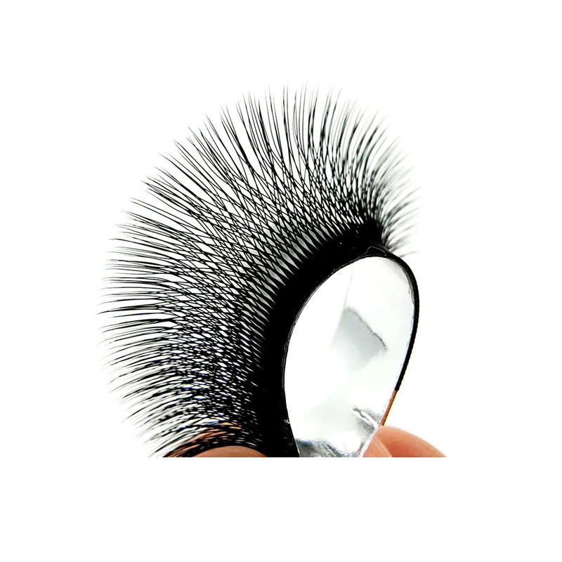 TBestt Matte Black 5D W Shape Eyelashes Extensions Premade Volume Lash Faux Natural Professional 3D W Cilios Lashes